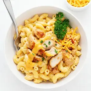 Creamy Pasta Recipes
